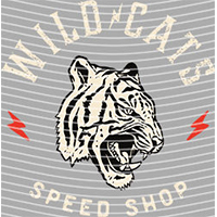 Cartoons and other-CO 1481